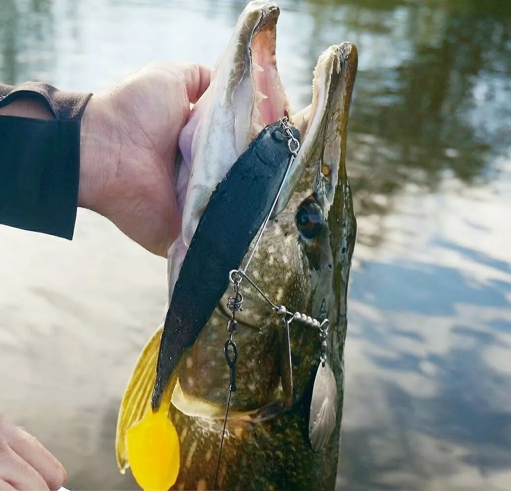 LUPA Plastisol - Afbeelding 4